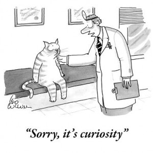 Curiosity