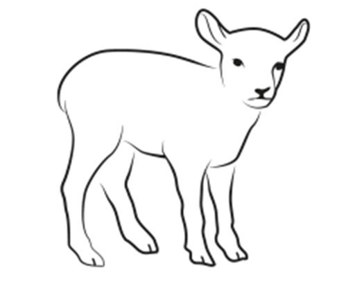 pic-1jpg